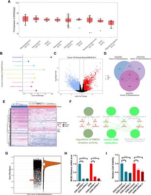 Systematic analysis of MCM3 in pediatric medulloblastoma via multi-omics analysis